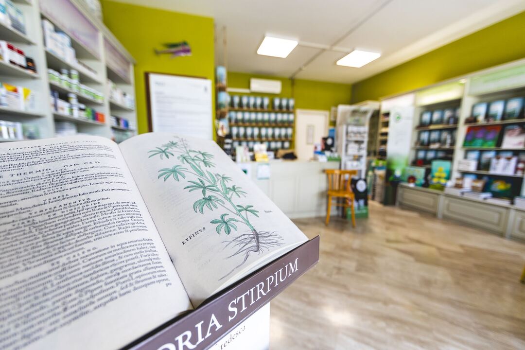 NaturaMente di Lidjia Borcic Fiume Veneto Distretto Sile Meduna